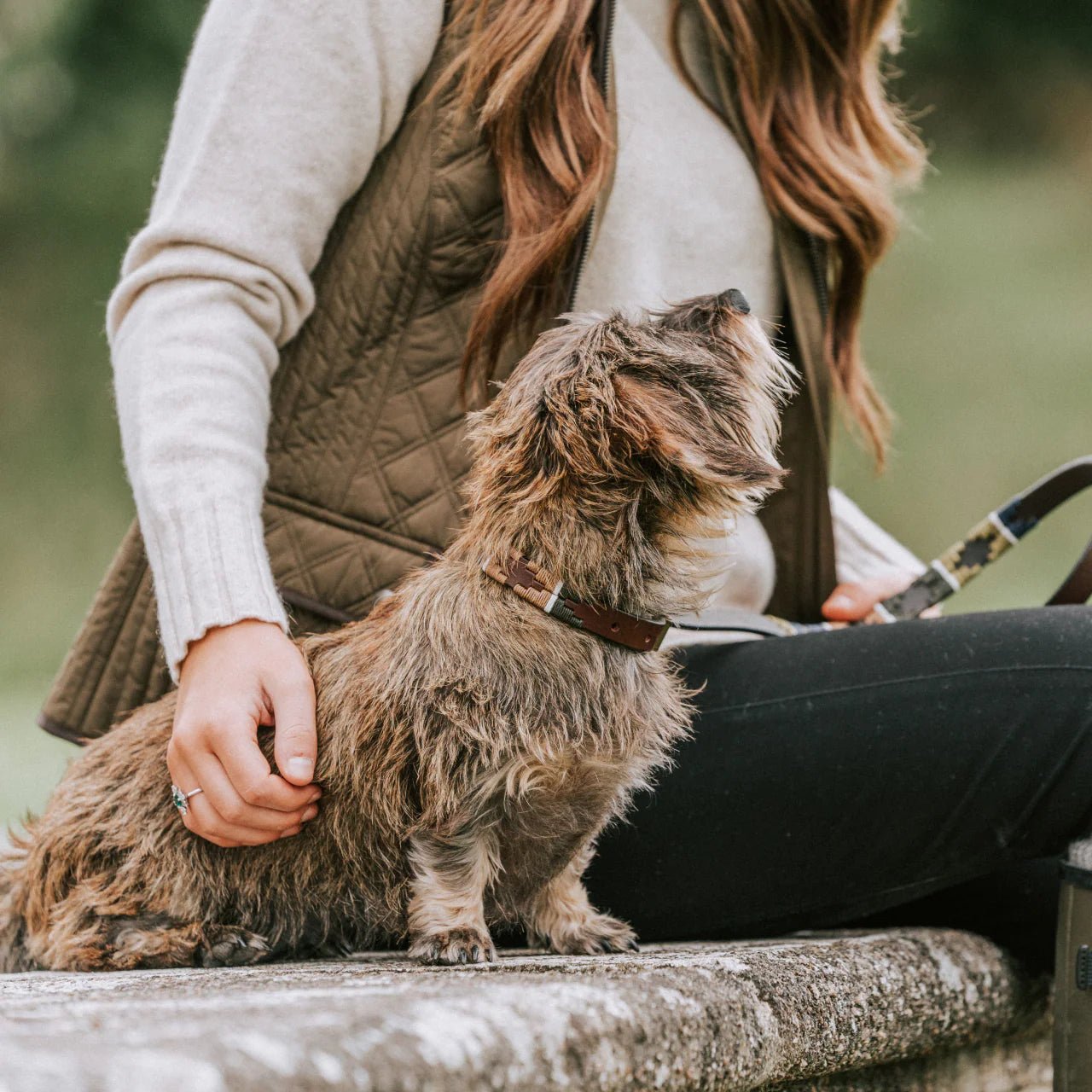 Pampeano Caza Dog Collar - Hogan Outdoors - Pampeano - Dog Collar