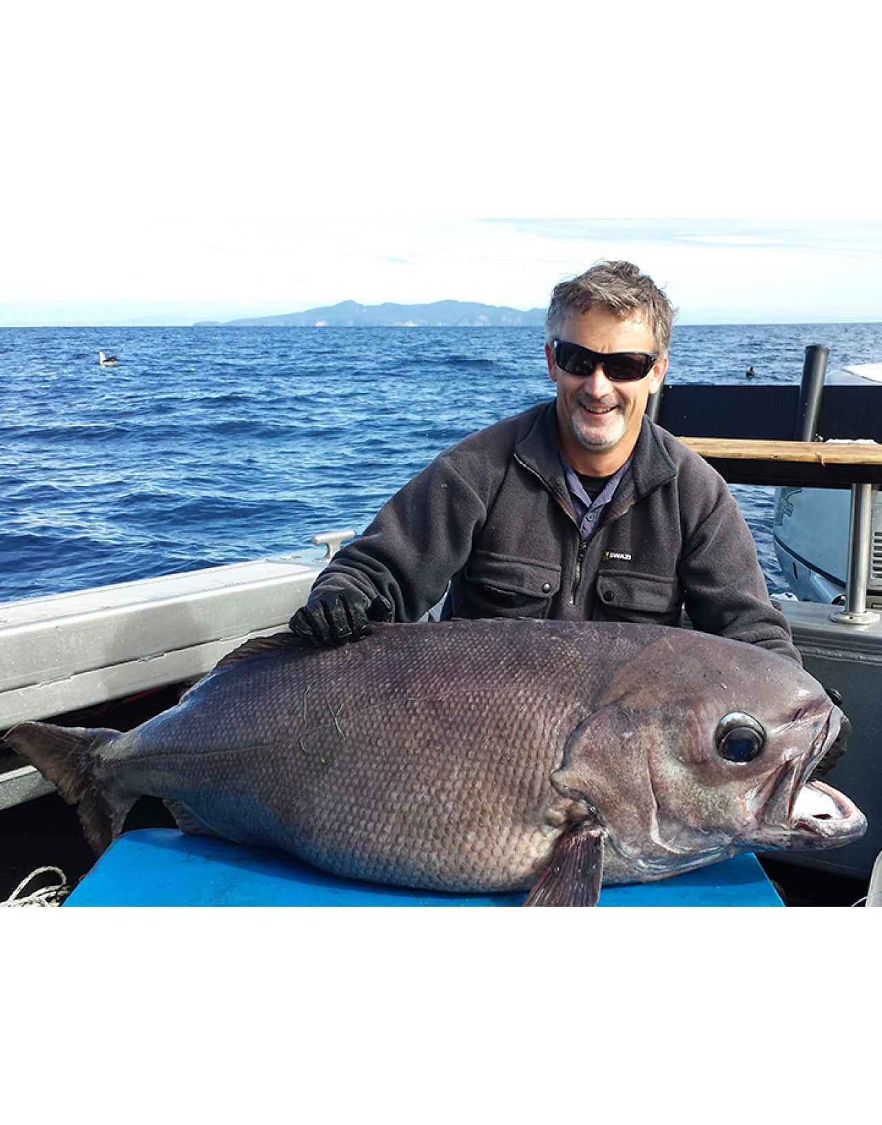 Swazi Back 40 Shirt - Hogan Outdoors - Swazi - 