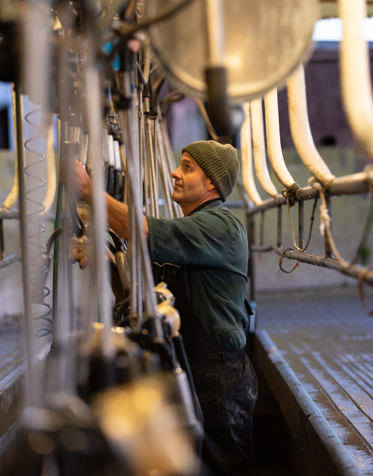 Swazi Torrent Bib Overtrousers - Hogan Outdoors - Swazi - 