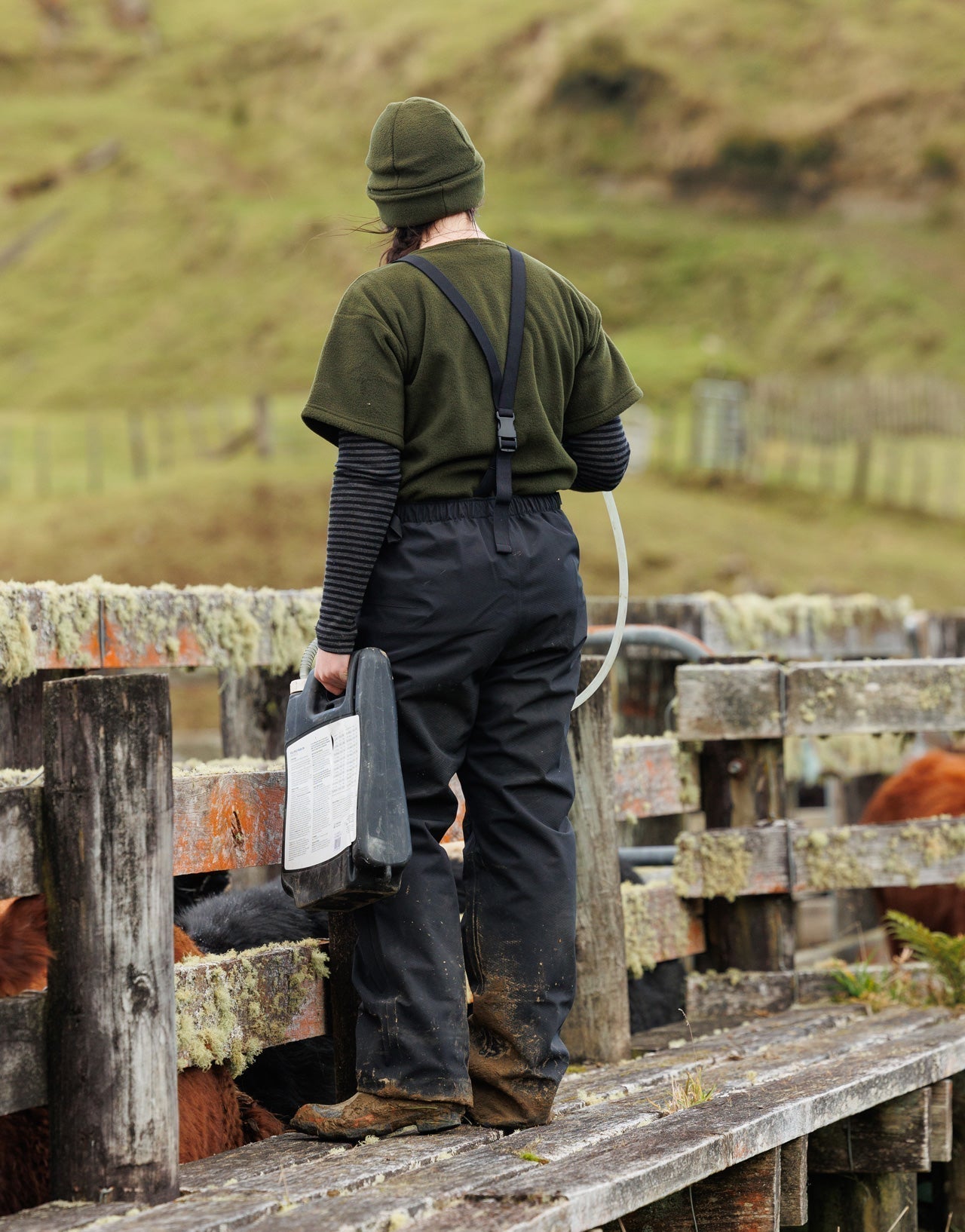 Swazi Torrent Bib Overtrousers - Hogan Outdoors - Swazi - 