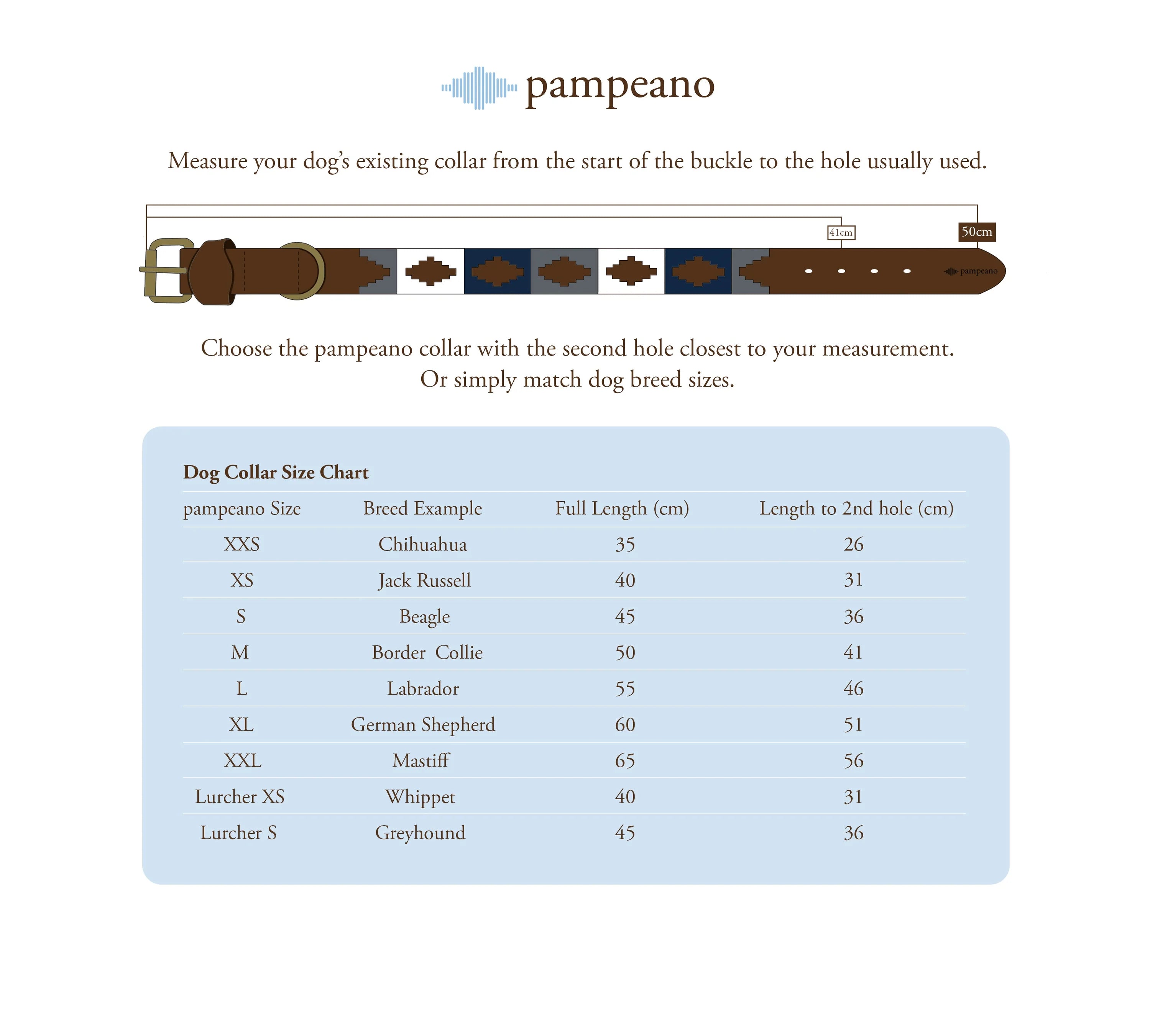 Pampeano Piedra Dog Collar