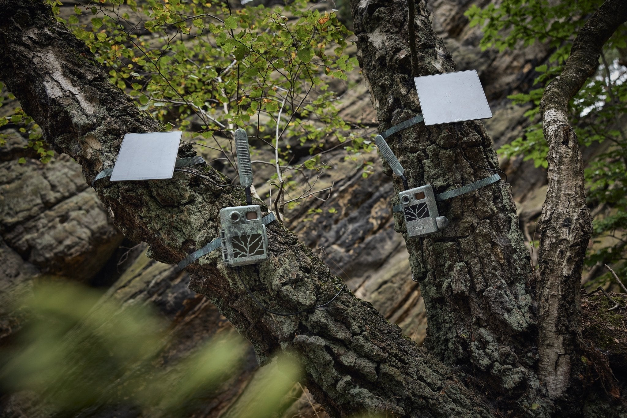 ZEISS Secacam 3 Trail Camera - Hogan Outdoors - Zeiss - Camera